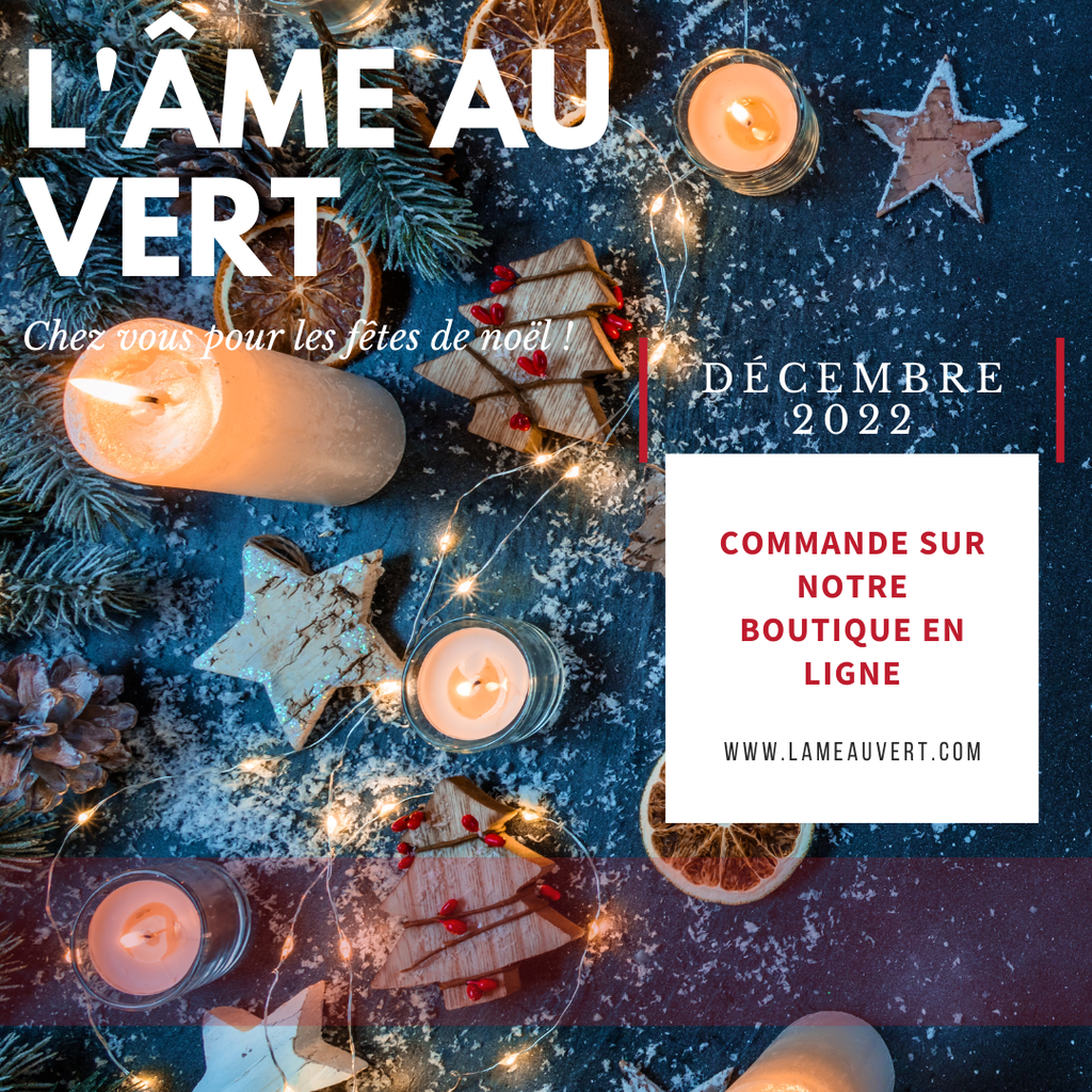 carte de noel - click and collect - restaurant - lille - nord.png